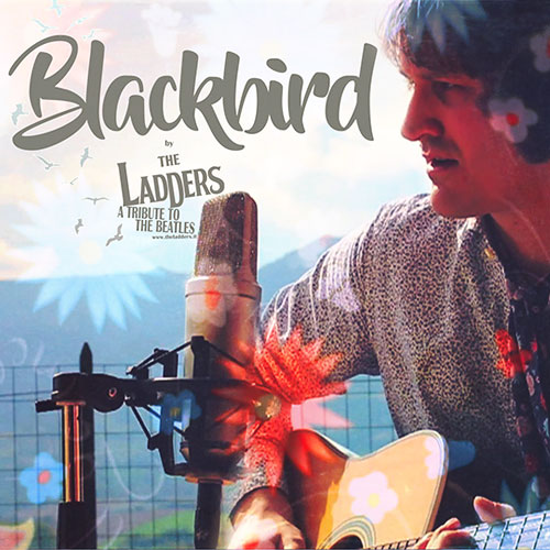 Blackbird